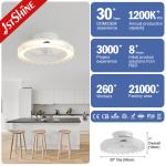 110-240V/50-60Hz Input Voltage 20 Inches White Fancy ABS Hidden Blades Remote