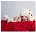 beige cartoon animal dog Baby Photography Prop beanie costume set Animal outfit