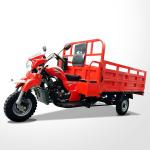 12V Voltage Cargo Adult Tricycle Motorized Three Wheel Cargo Motorcycle With