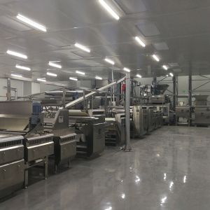 Customized Cookie Making Machine Hard And Soft Wafer Automatic Biscuit