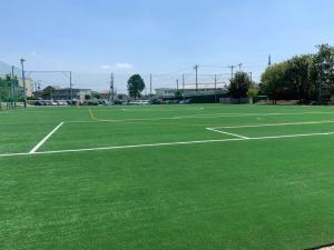 China Field Artificial Soccer Turf Football Grass Carpet For Sale 50-60mm factory