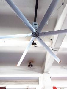 China HVLS Energy Efficient Ceiling Fans , Large Size 10 FT Ceiling Fan For Warehouses factory