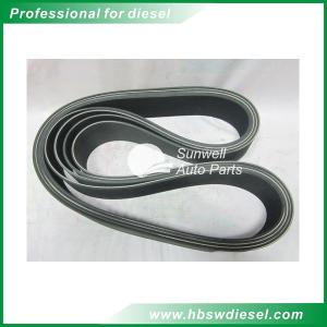China KTA38 engine Belt, V Ribbed 3003341 factory
