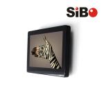 Embedded Industrial Grade Android Touch Screen Tablet HDMI Serial Port