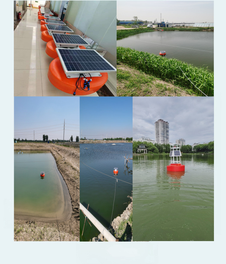 Vertical Water Quality Monitoring Device Dissolved Oxygen PH Analyzer