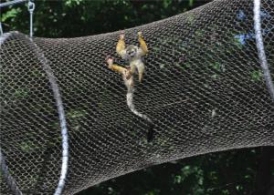 China 7x7 Stainless Steel Animal Wire Mesh Rope Enclosure CE Certificated factory
