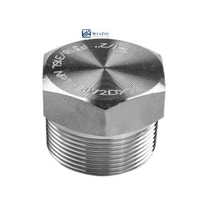 China Silver Forged High Pressure NPT Male Hex Plug For Stainless Steel 304 316 316L factory