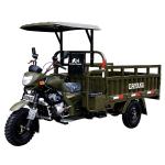 Rear Axle Semi-Buoyant Afterburner 60 Bridge Pipe Cargo Motor Tricycle for
