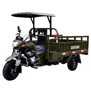 China Rear Axle Semi-Buoyant Afterburner 60 Bridge Pipe Cargo Motor Tricycle for Freight factory