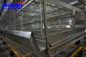China Cheap price hot sale algeria chicken farm layer poultry cages factory