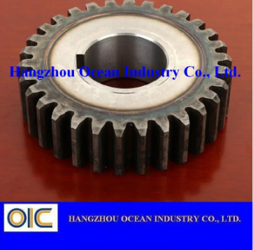 China Spur Gear for Transmission Parts factory