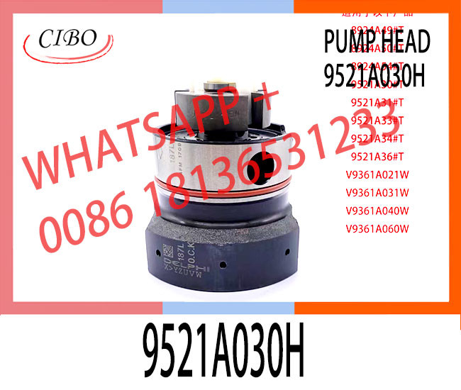 High Quality Diesel Fuel Injection Pump DPA Head Rotor 7189-340L For 9521A030H