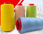Sewing Machine Thread Colored Polyester 30S/2 Sewing Threads