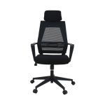 Smooth Ergo Nylon Mesh Office Chair PA6 GF30 Class 4 Gas Spring
