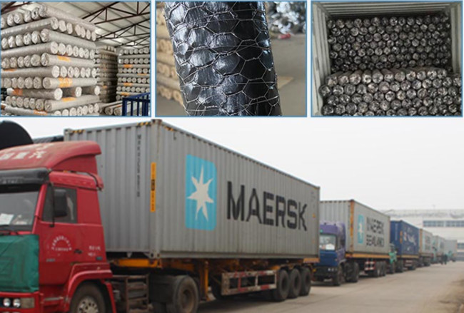 0.42mm Galvanized 1.2m High Chicken Wire Mesh Fence For Rabbits Cage