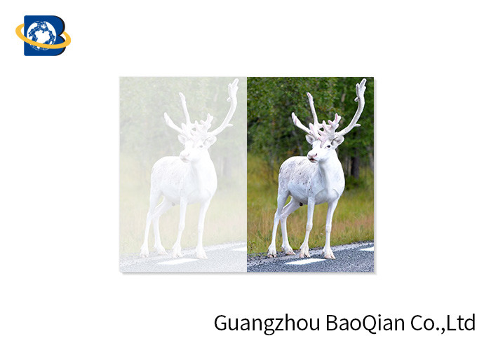 Lovely Animals 3D Image Lenticular Card Printing Two Sides CMYK Offset Printing