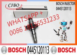 China High Quality Diesel Fuel Injector 0445120255, 044512010, 0445120113 factory