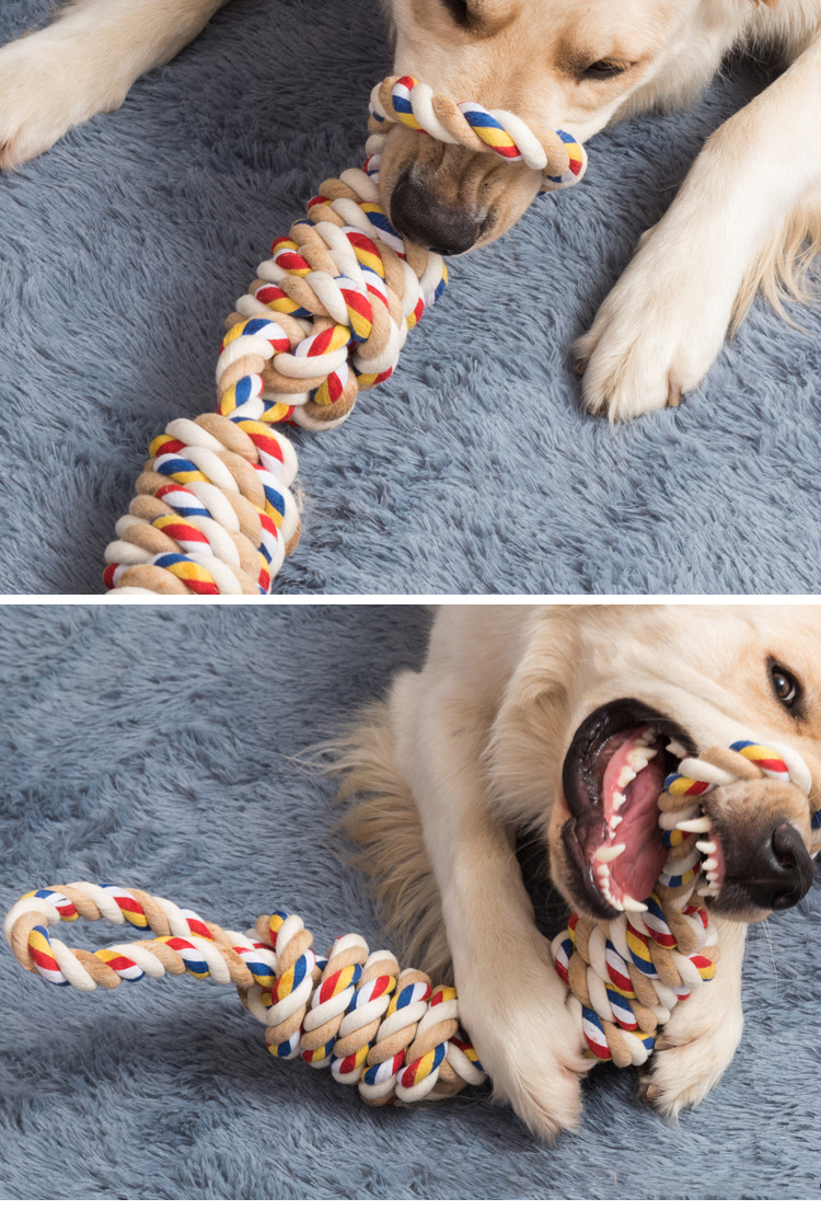 Sustainable Mixed Color Dog Chew Toy for Large Breeds Bite-Resistant Labrador and Golden Retriever Polygonal Stick Rope