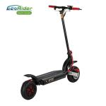 Eco - Rider Smart Kick Folding Motor Scooter 2000W Dual Battery 48V 10 Inch