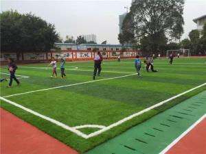 China Durable False Turf Playground Soccer Synthetic Grass Environment Friendly factory