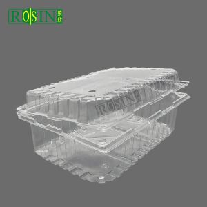 Customizable Disposable Fruit Plastic Container Transparent With Vented Lid