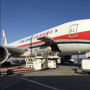 China Ups International Air Freight Forwarding Brokers Services Transport From China To The World factory