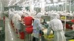 Factory Direct Selling High Quality Stainless Steel Peeling Machine Suitable For