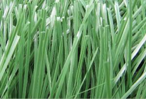 China Football Artificial Grass For Sports factory