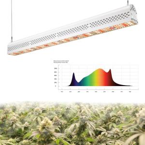 China Maximum Yield Linear LED Grow Light Bars / Led Bloom Lights Trusses Installation factory