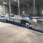 SUS304 Dates Nuts Tomato Round Fruit Grading Machine