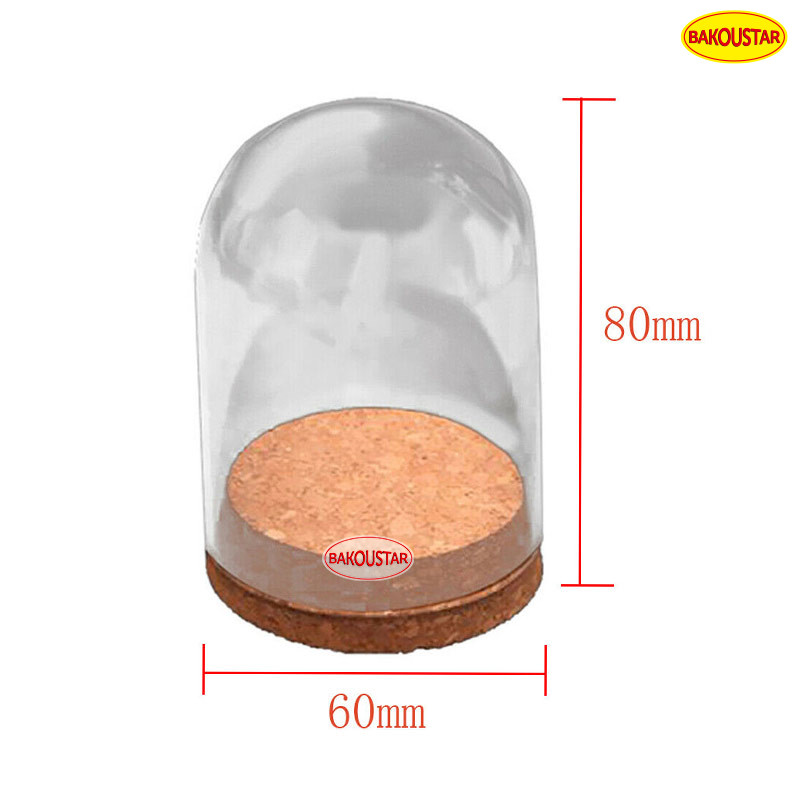 Hand Blown Borosilicate Eternal Life Flower Glass Cover
