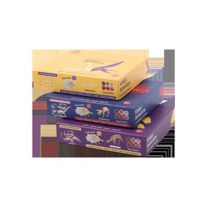 China Rectangular Paper Closure Game Storage Box factory