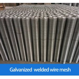 Factory PVC plastic coated welded wire mesh wire Mesh Welded Netting welded wire