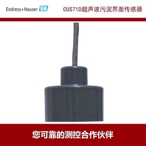 China EMF Turbidity Analyzer Ultrasonic Sludge Interface Sensor CUS51D-AAD1A4  on sale