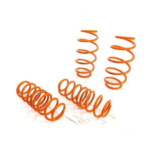 China High Performance Lowering Springs for Golf MK5/6/7/8 GTI &amp; Polo 1.2/1.4/1.6 factory