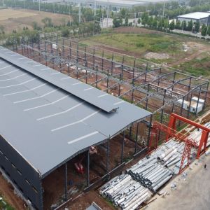 Q355B Steel Structure Warehouse Prefabricated Building Multi Span