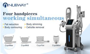 China 4 handles Cryo Therapy Cool Sculpture Zeltiq cryolipolysis machine 2018 factory