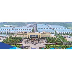 EUR Standard Disposable Windproof Gas Lighter Dy-F008 Customization Customized