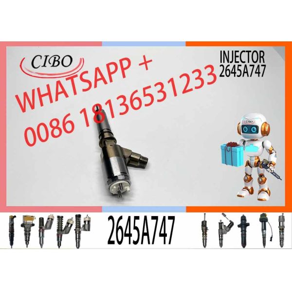 Excavator Injector Engine C4.4 C4.4DE110 Diesel Fuel Injector 2645A747 320-0680 10R-7672