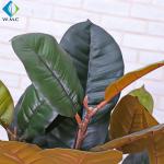 Large Potted Ficus Tree , Indoor Decoration Fake Rubber Tree Plant 5-10 Years