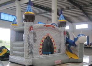 China Digital Printing Dragon Large Bouncy Castle , Waterproof Princess Jumping Castle factory