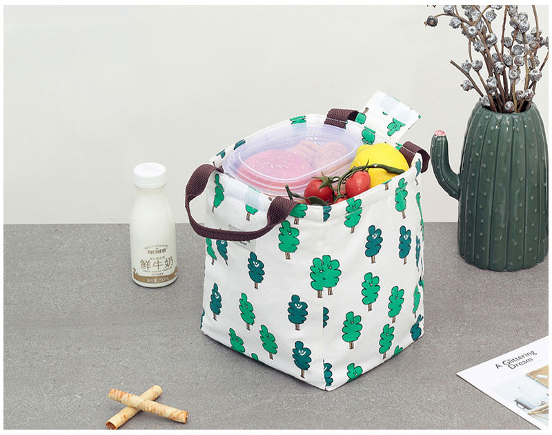 L19*D17cm Silk Printing Insulated Lunch Cooler Bags