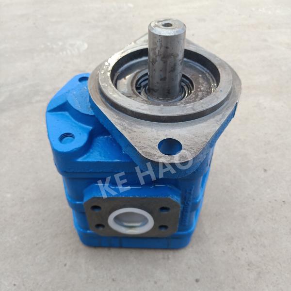 CBGJ Single Pump Rhomb cover Flat key Blue Compact Original Gear Pump For