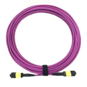 China 12 Core OM4 Lszh Patch Cable , SENKO Female Mpo Patch Cord Purple Color factory