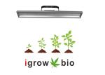 4000lm 300W 3500K Vegetable LED Grow Lights