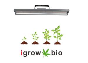 China 4000lm 300W 3500K Vegetable LED Grow Lights factory