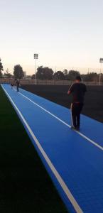 China PE Foam Artificial Turf Shock Pad Underlay UV Resistant Customized Thickness 8-30 mm factory