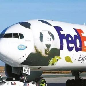 China EXPRESS Delivery To France Ups DHL Fedex Door To Door International Shipping factory