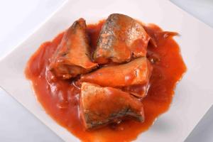 China Tin Packing Mackerel Canned Fish In Tomato Sauce FDA HACCP Certification factory