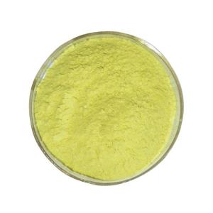 China 99% Purity Quercetin Bulk Supplements From Sophora Japonica Extract For Natural Ingredients factory